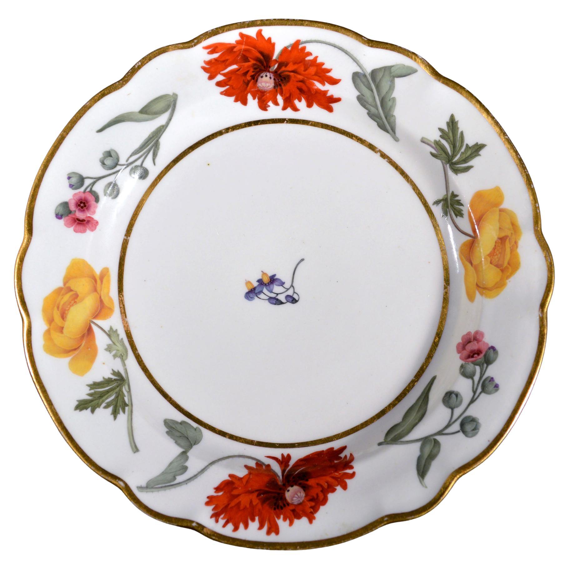 Flight & Barr Worcester Botanical Porcelain Plate, Circa 1792-1800