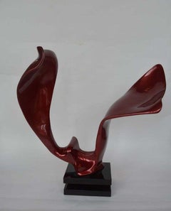 Volo di Mauricio Sorice