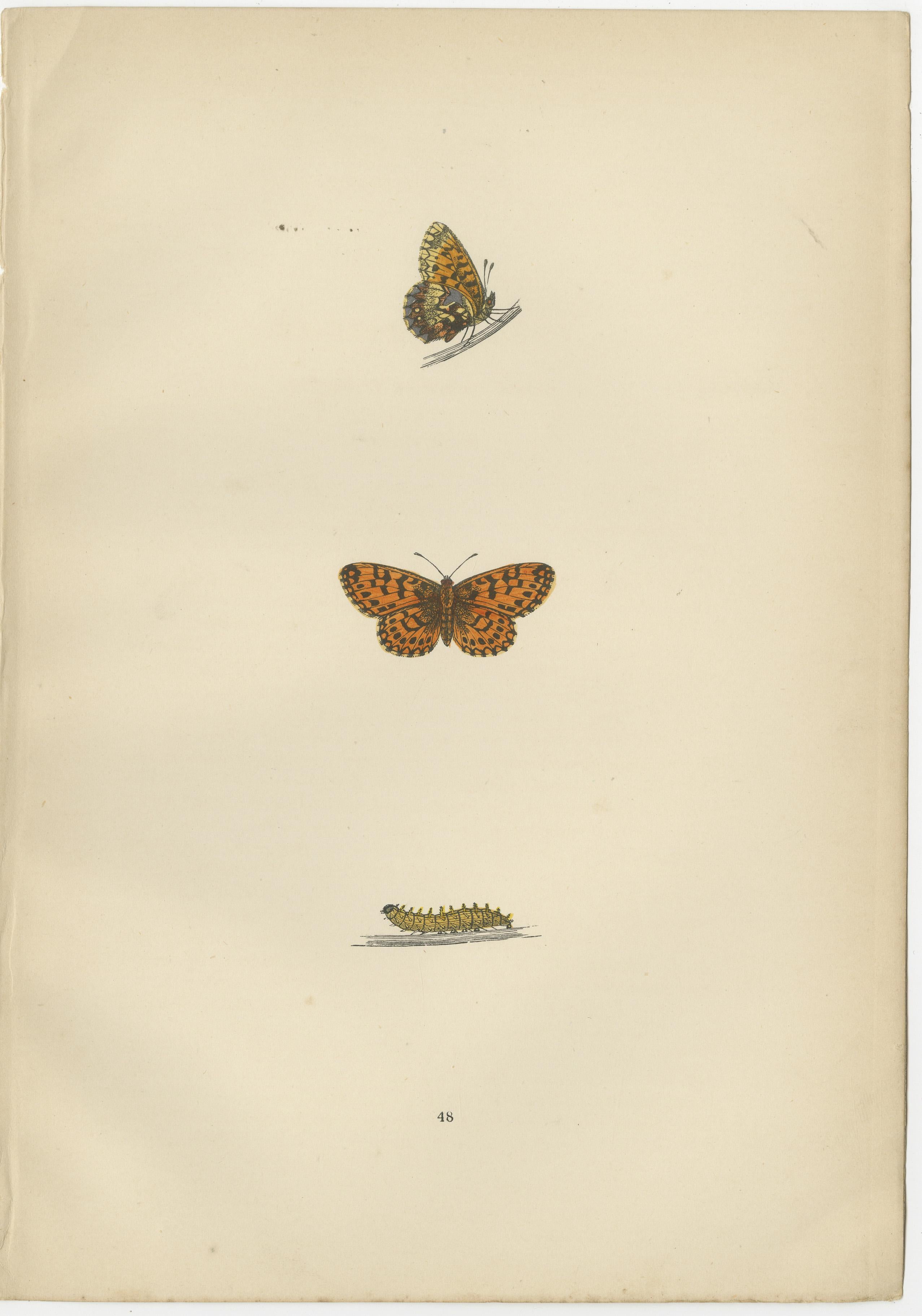 Late 19th Century Flight of Patterns: The Fritillary Trilogy from Morris's 1890 Masterpiece For Sale