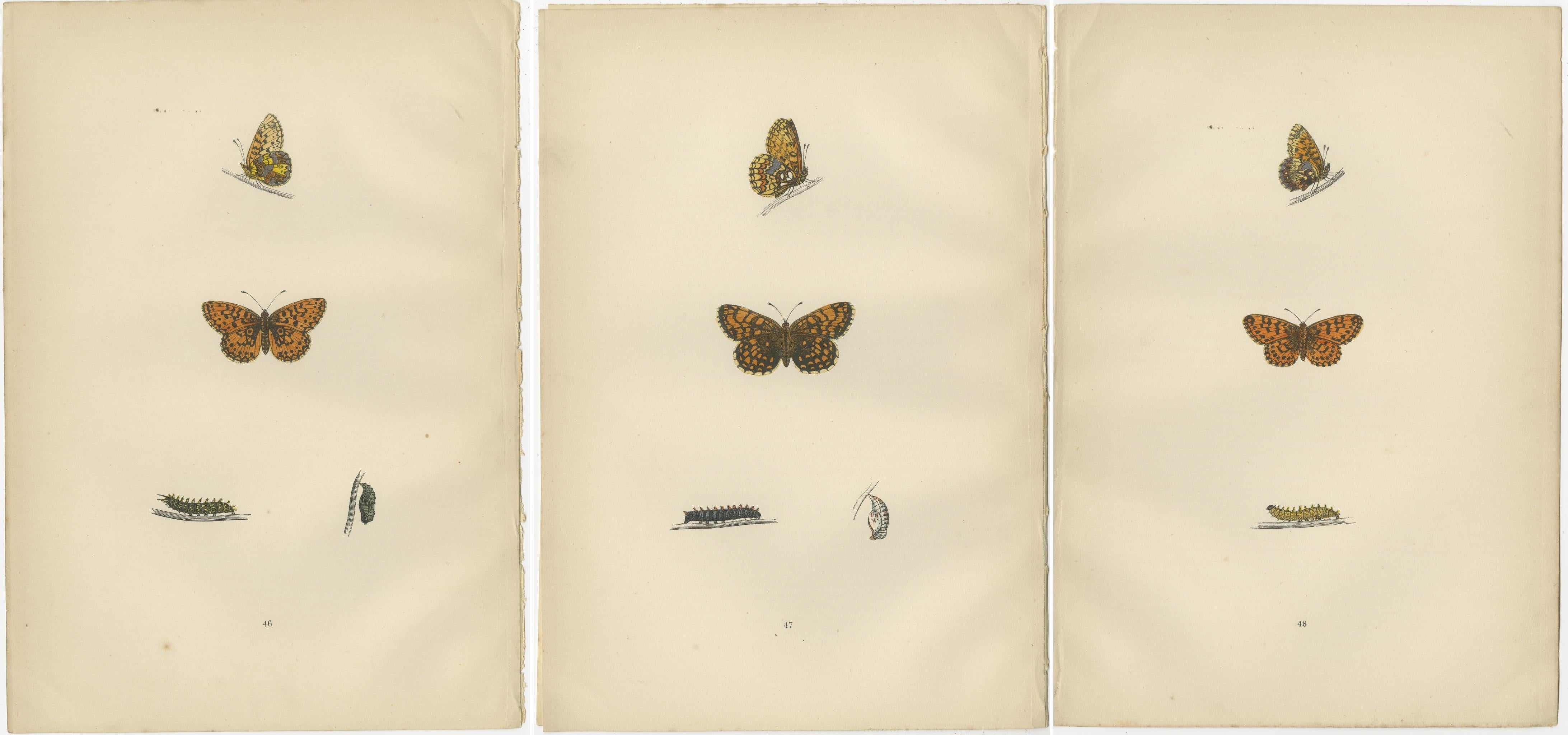 Paper Flight of Patterns: The Fritillary Trilogy from Morris's 1890 Masterpiece For Sale