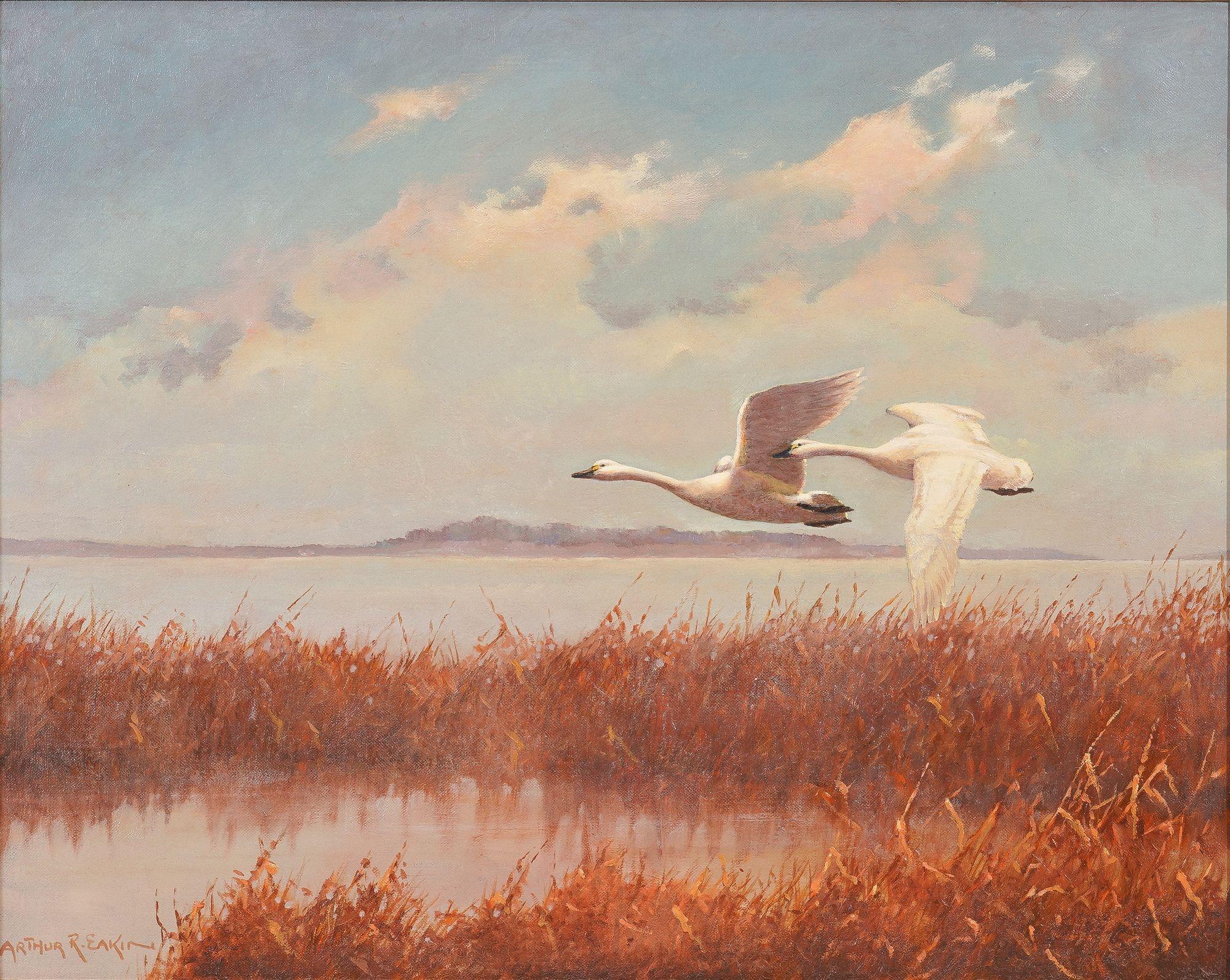 Olio su tela raffigurante una coppia di cigni che vola sopra il bordo di canna di uno specchio d'acqua, stagliandosi contro un cielo blu e bianco.

Firmato, LL: Arthur R. Eakin

Americano, intorno al 1900.

Dimensioni: 25