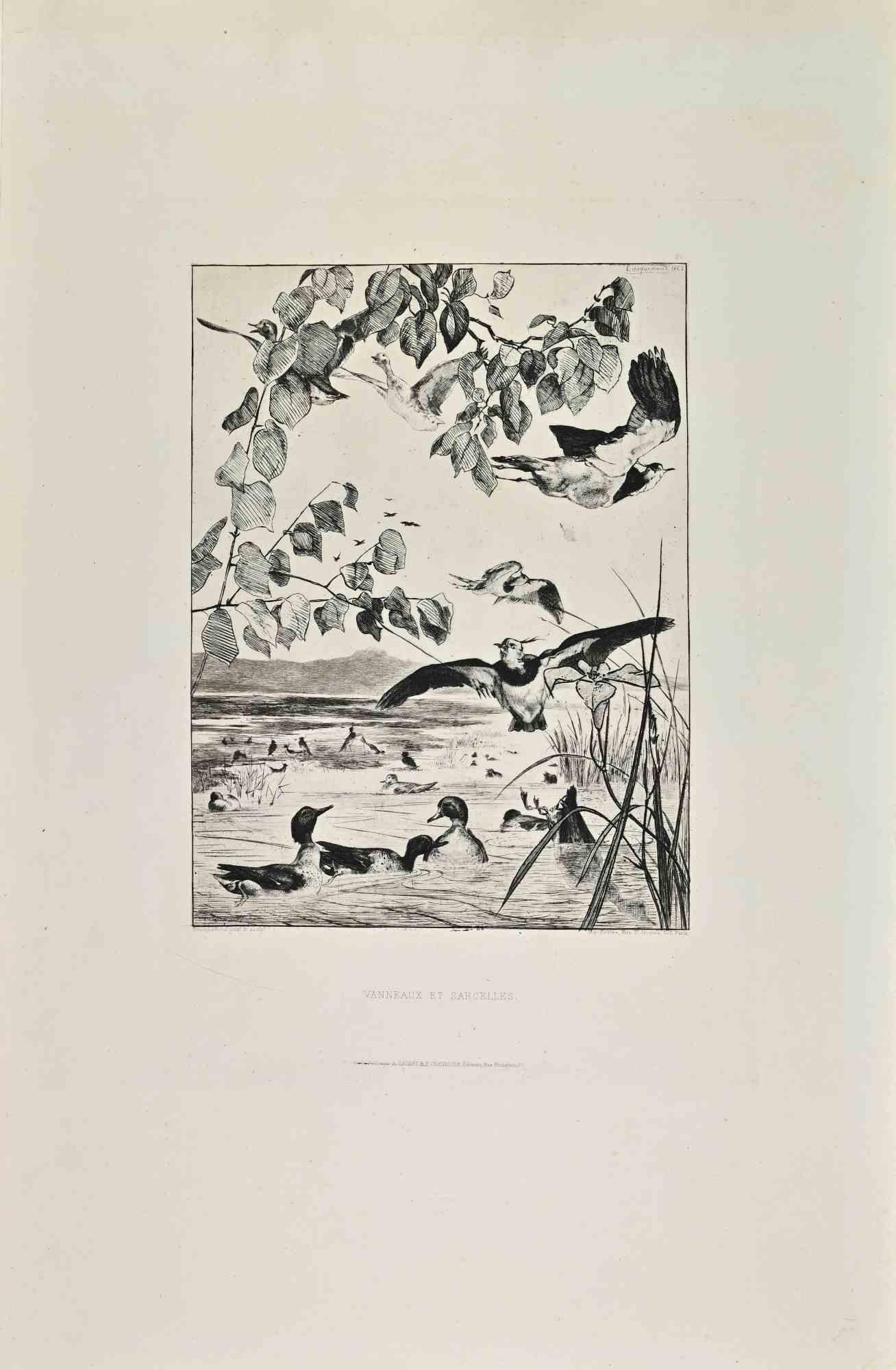 Vanneux et Sarcelles is a black and White etching realized by Félix Bracquemond in the Late 19th Century. 

Titled in the lower

Image Size: 35x24

Very good impression.



Realized by Cadart for the "Société des Aquafortistes. Born on the