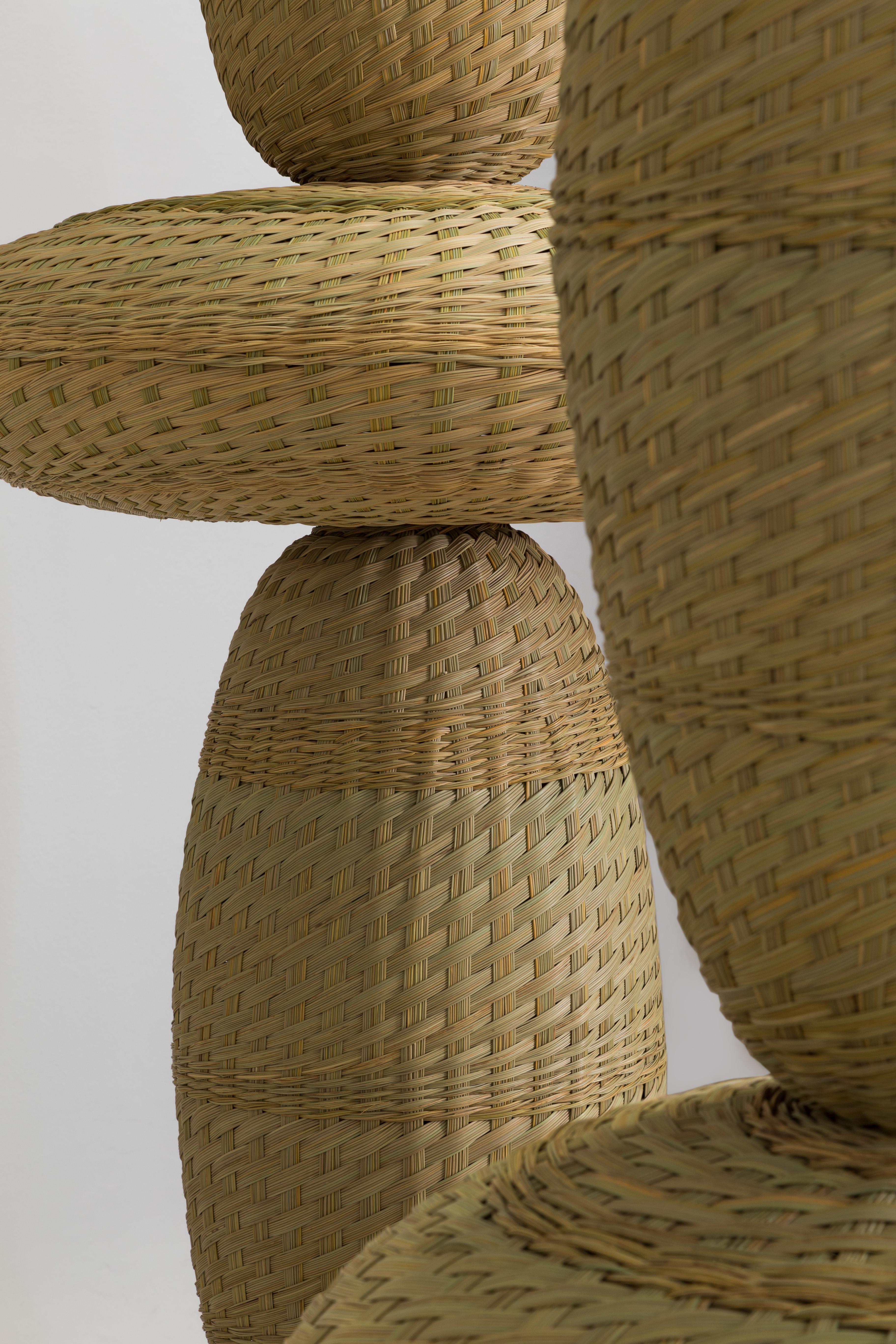 A vertical composition built by hand-woven volumes under the traditional basketry technique of northern Argentina called symbol: a quiet, austere native plant that grows in the Argentine province of Catamarca, usually along the river banks in the