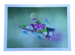 Flog Journey Print, Hand Finished 1/1, Archival Pigment, Street Art