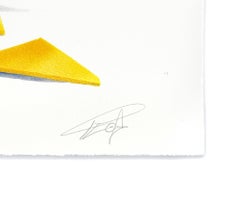 Sunrise (large framed hand signed screen print)