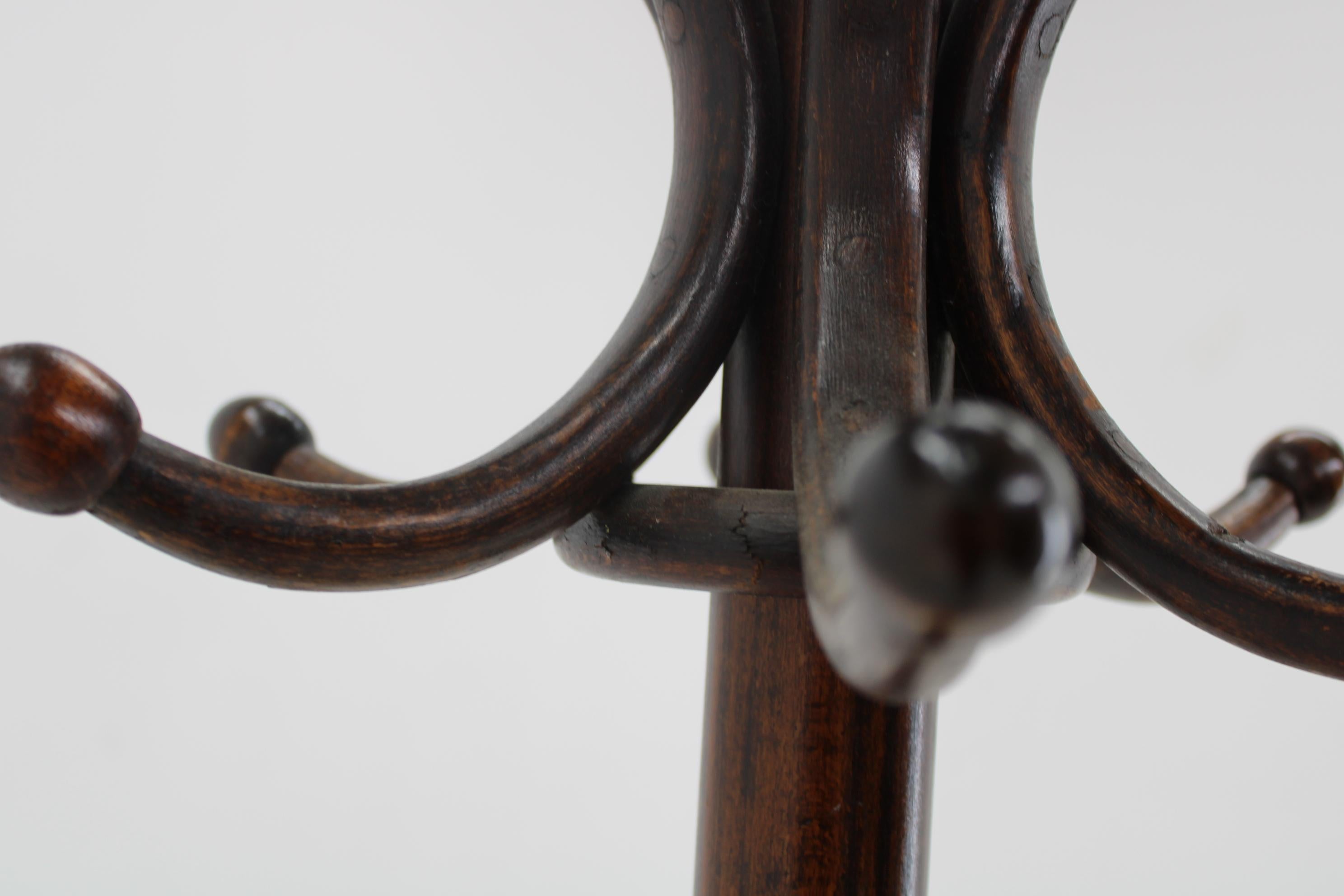 Floor Hanger Ton / Thonet 1920's, Czechoslovakia For Sale 4