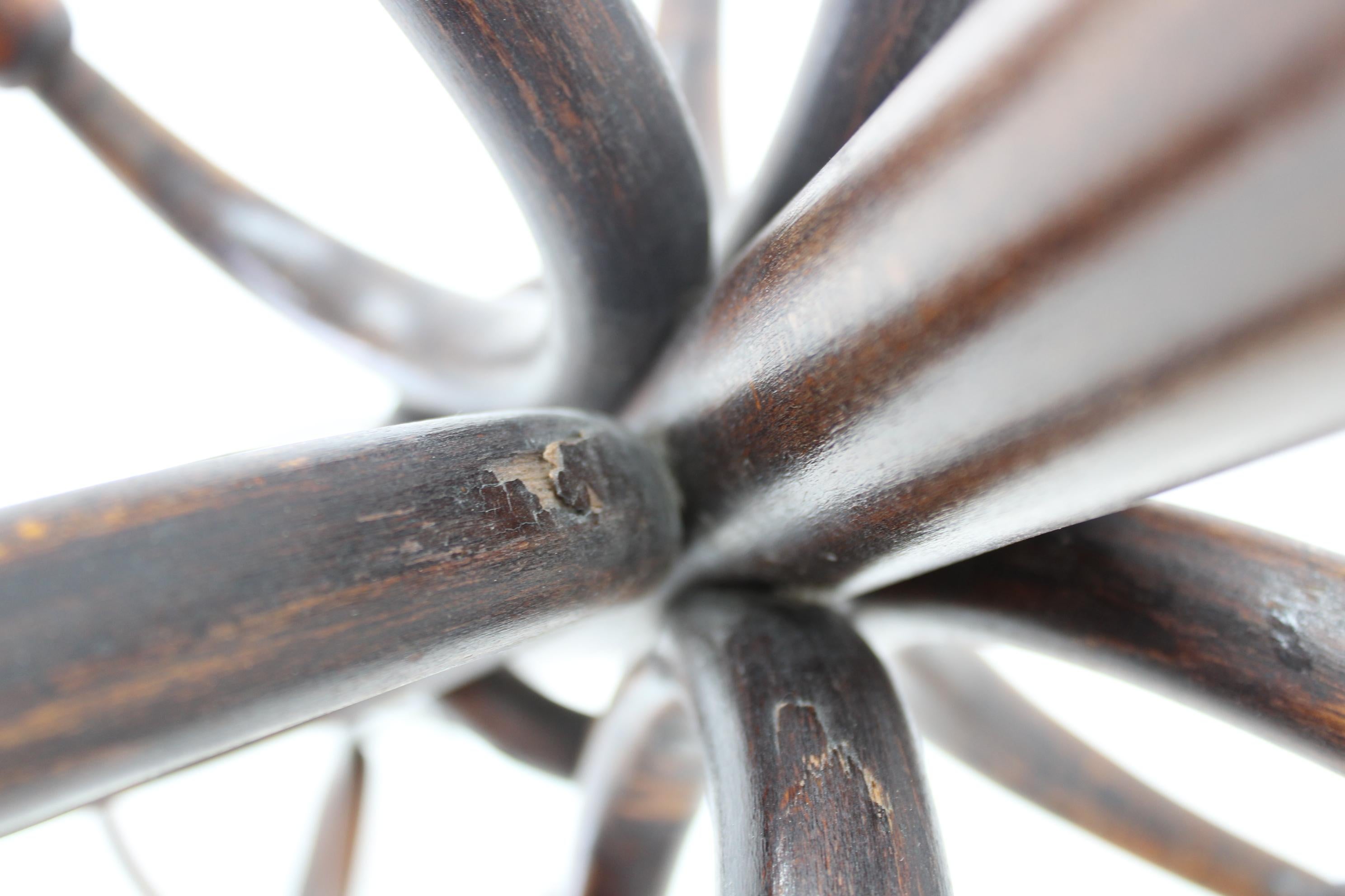 Floor Hanger Ton / Thonet 1920's, Czechoslovakia For Sale 8