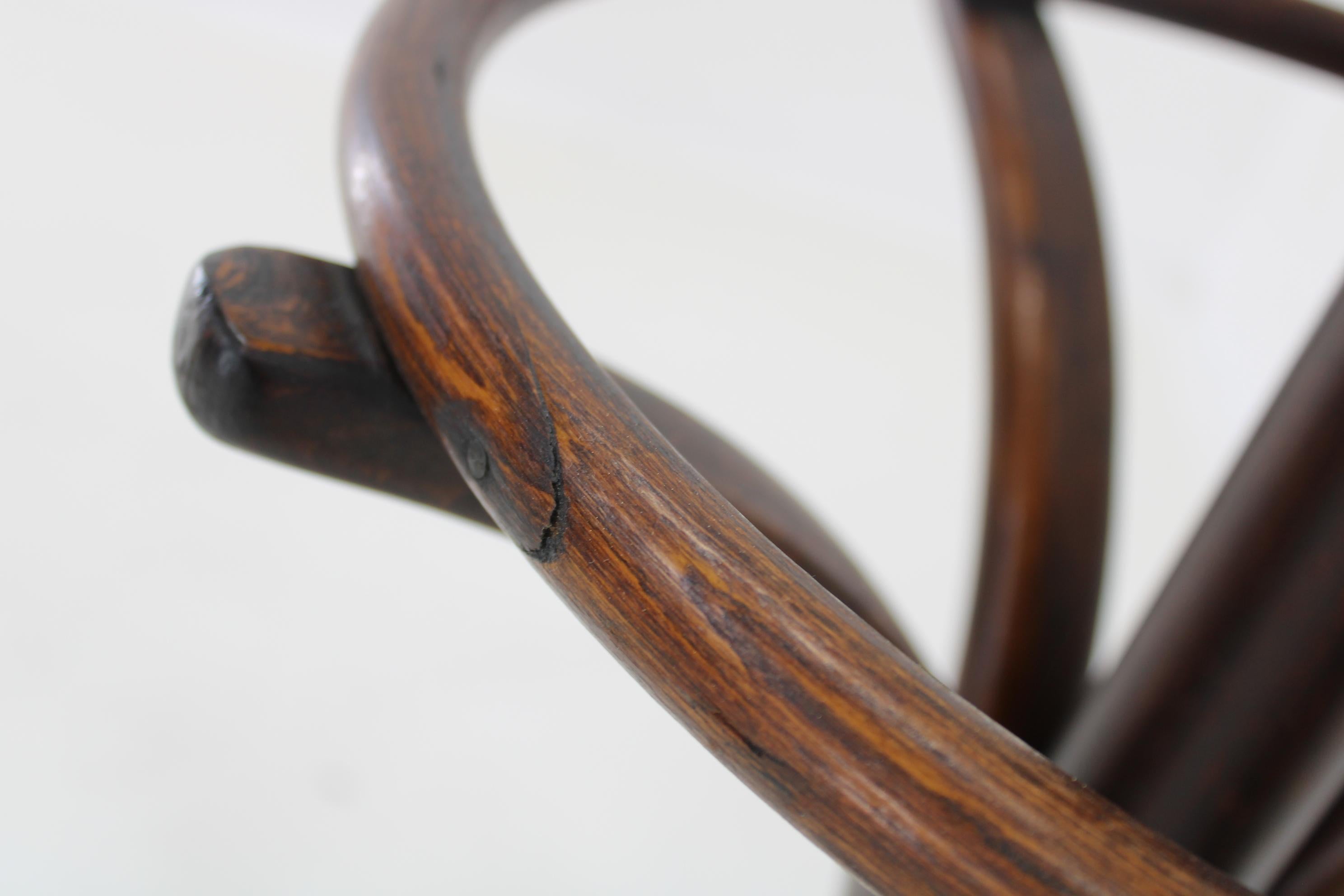Floor Hanger Ton / Thonet 1920's, Czechoslovakia For Sale 9