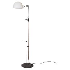 Stehlampe „Aggregato Terra“ von Elio Mari & Gino Fassina, 1970er Jahre