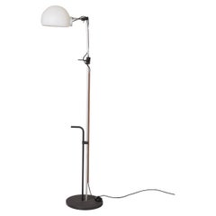Floor lamp "Aggregato Terra" by Elio Mari & Gino Fassina