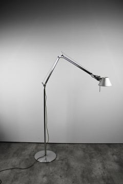 Floor Lamp Artemide Tolomeo Vintage Green Wire Modern Aluminum 1987 Italy