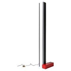 Floor Lamp by Angelo Brotto, circa 1960