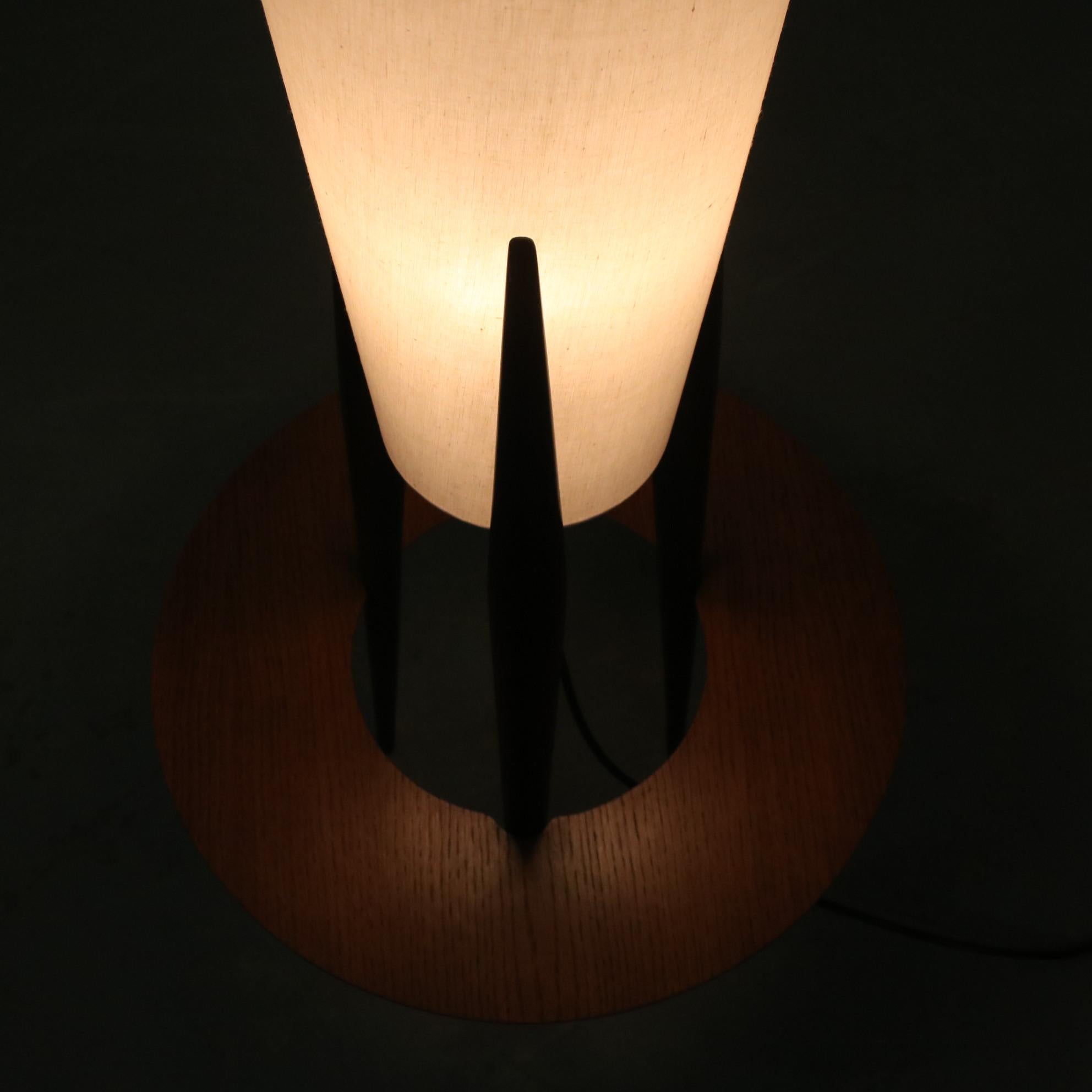 Floor Lamp by Jean Rispal, France 1950 4