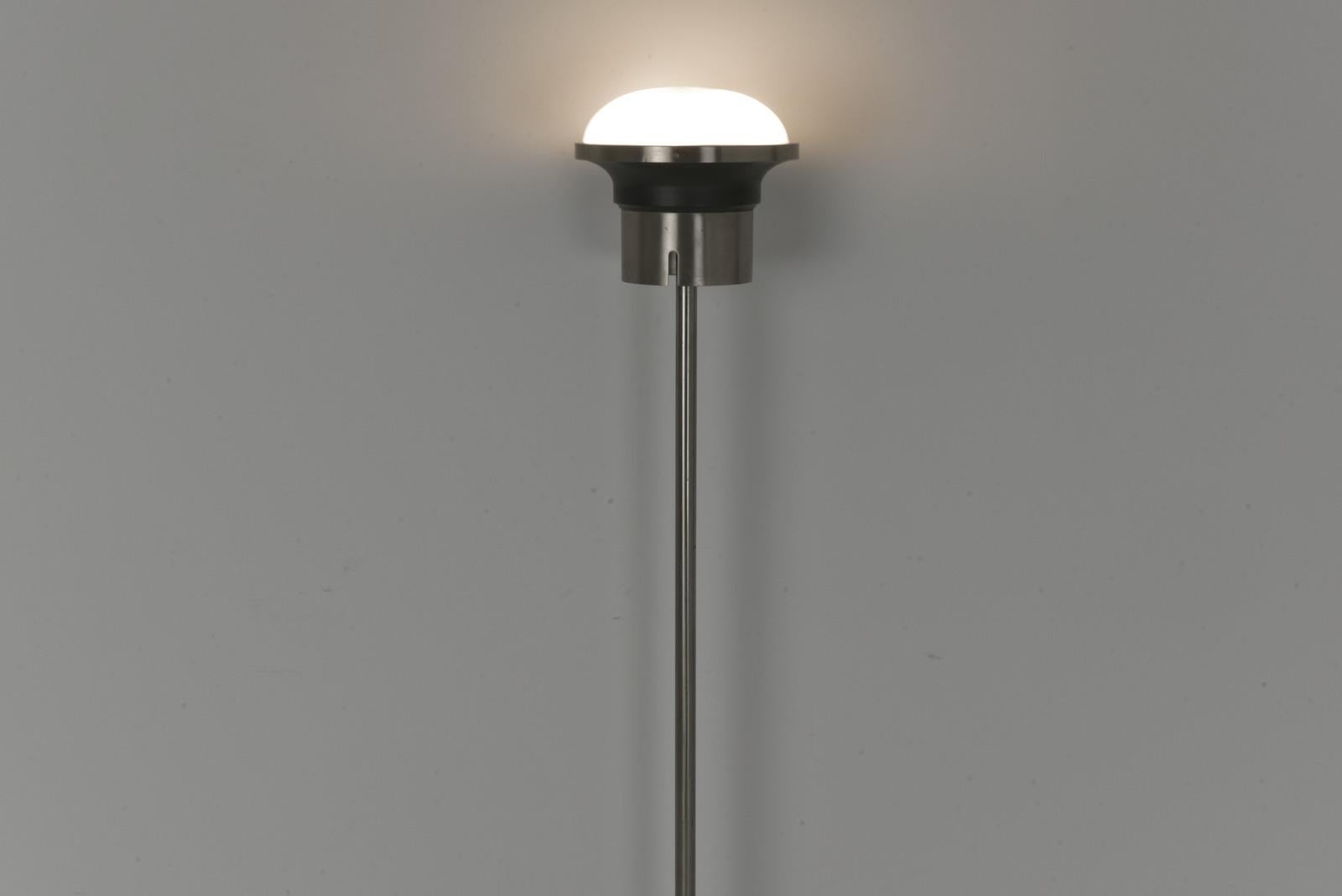 Mid-Century Modern Floor Lamp by Sergio Mazza for Artemide, Italy - 1960s  For Sale