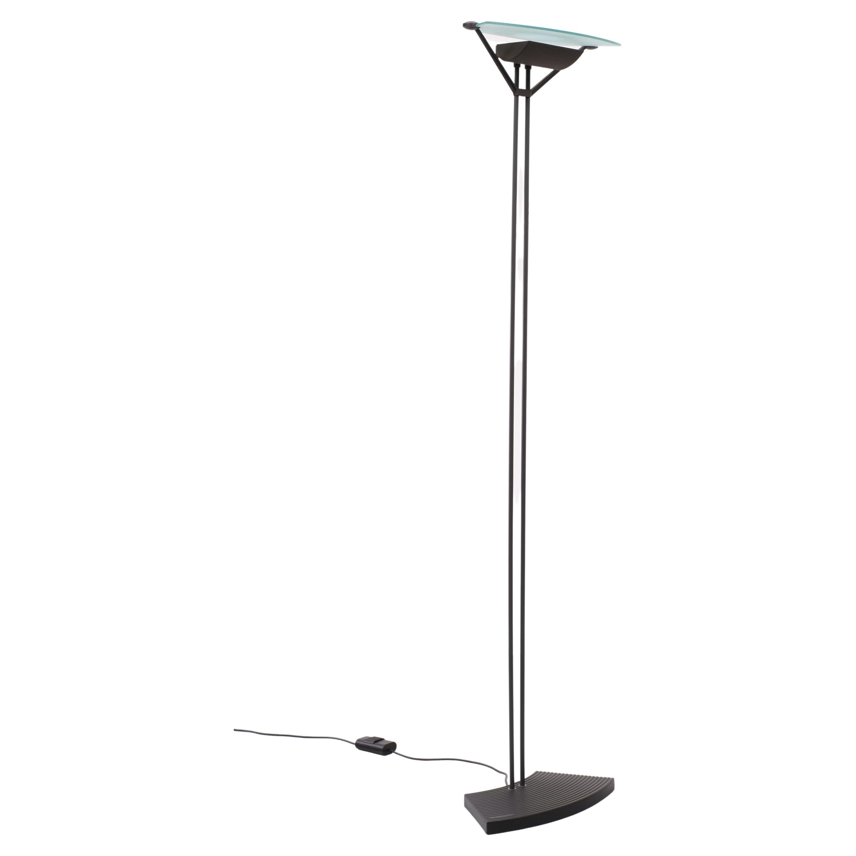 Beautiful Halogen floor lamp 