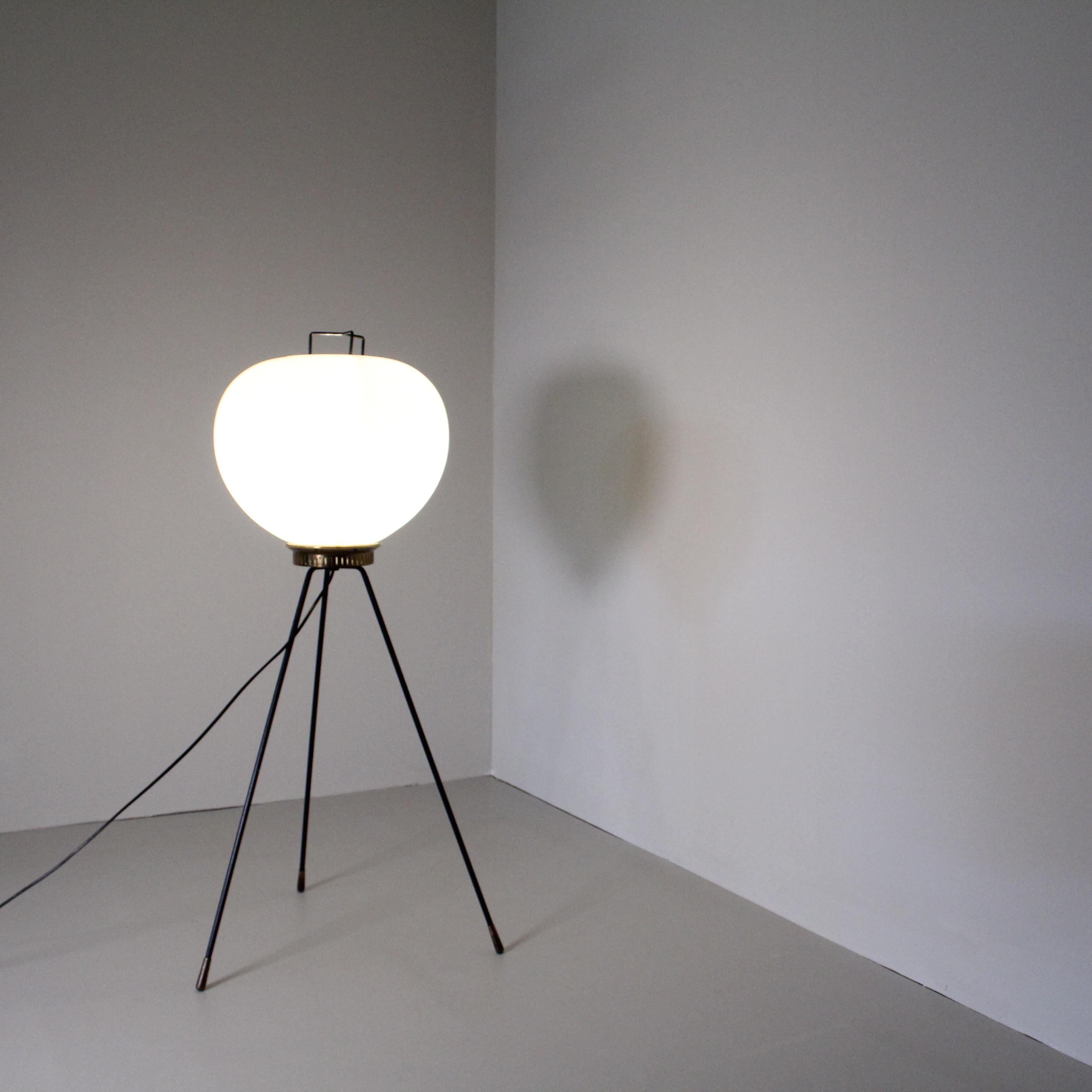 Floor Lamp by Stilnovo For Sale 7