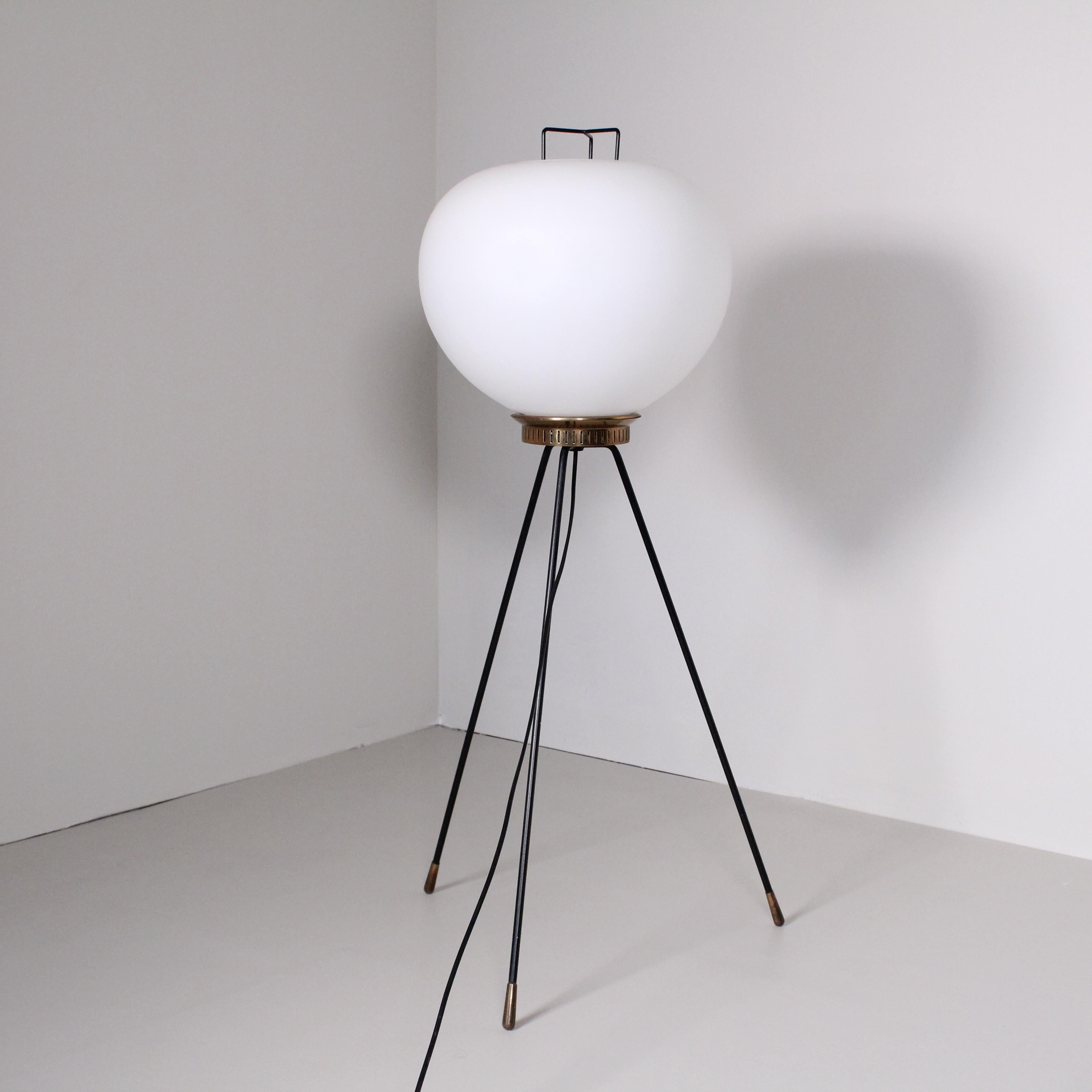 Floor Lamp by Stilnovo 8