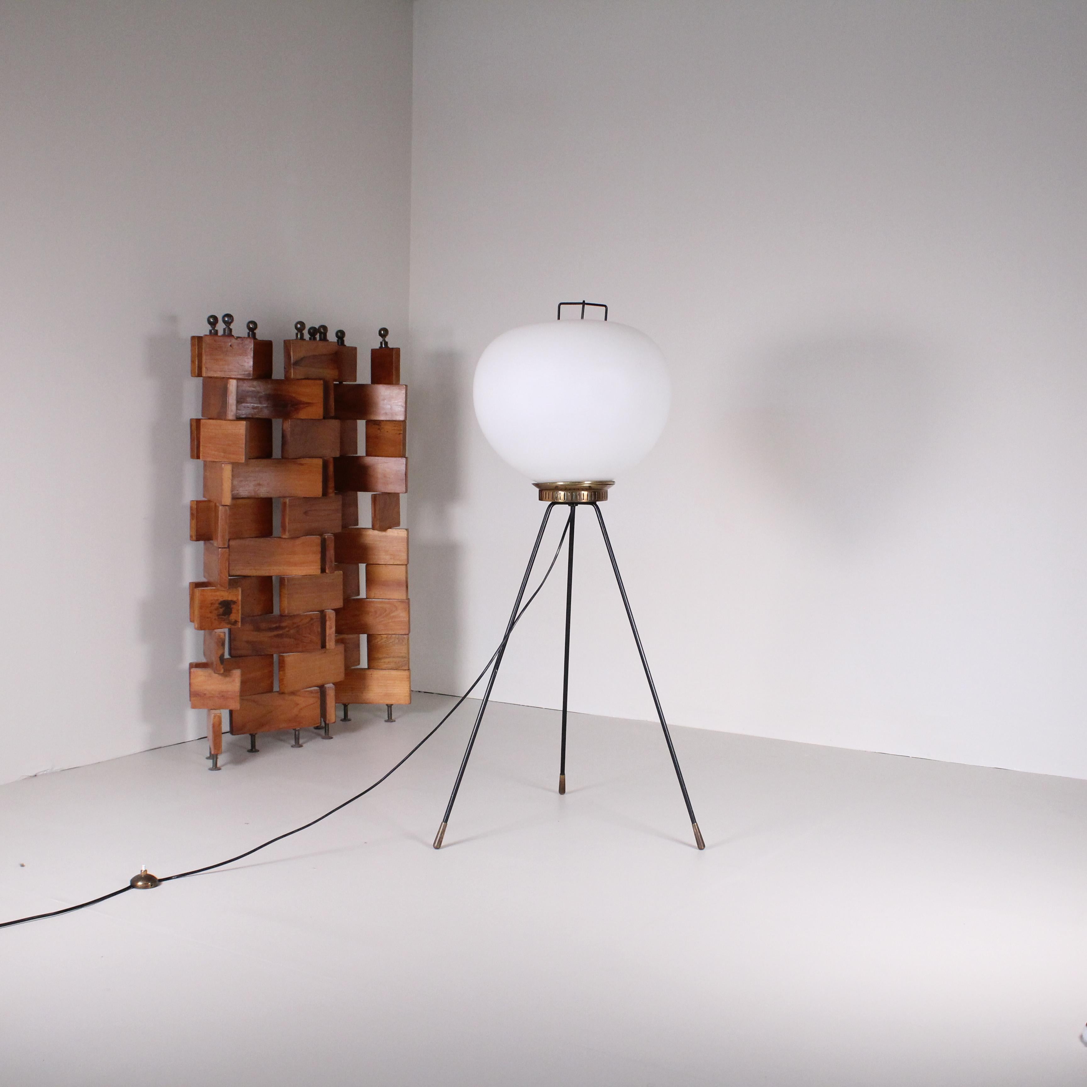 Mid-Century Modern Floor Lamp by Stilnovo For Sale