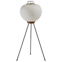 Lampada da terra di Stilnovo