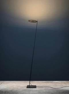 Floor lamp Catellani & Smith Lederam F0 - Brass disc / black rod