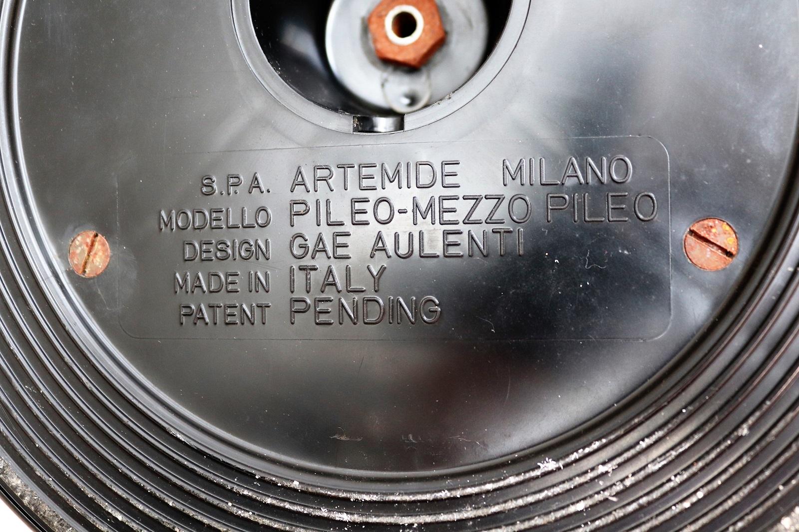 Floor Lamp Designed by Gae Aulenti for Artemide, Italy, 1970s 6