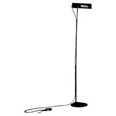 Floor Lamps