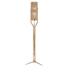Floor Lamp Featuring Brass Tubes in Both, Rectangular and Circular Shapes