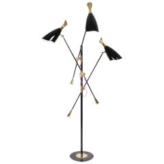 Floor Lamp in Black and Brass