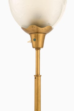 Floor Lamp in Brass and Double Glass Shades by Bo Notini, 1940’s