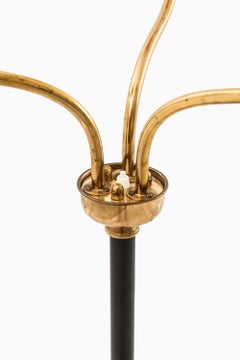 Floor Lamp in Brass and Lacquer by Josef Frank, 1950s