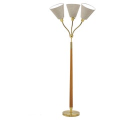 Floor lamp in elm and brass by ASEA belysning, Swedish modern, 1950s, Sweden