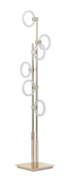 Floor Lamp Metal Structur Polished Champagne Finish Decorative Methacrylate Ring