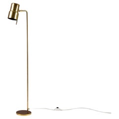 Floor Lamps