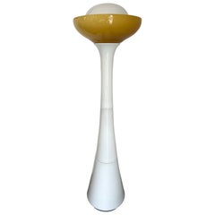 Floor Lamps