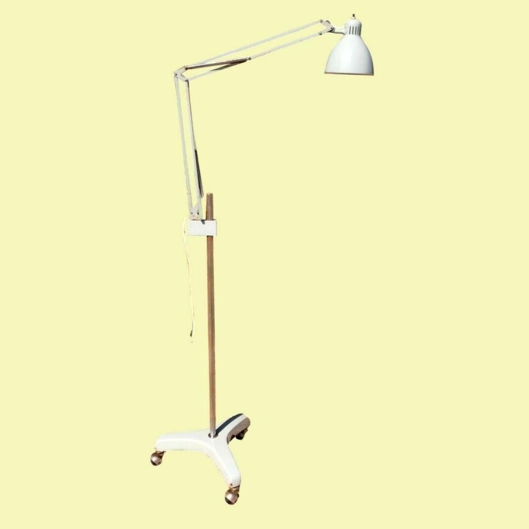 naska loris lamp