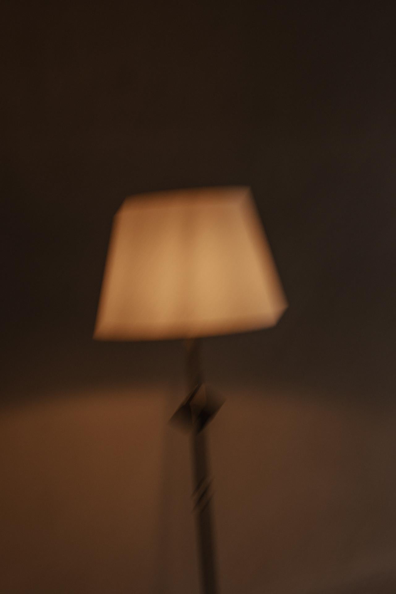 Floor Lamp - Star Model For Sale 1