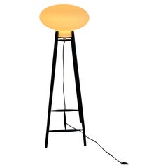 Floor lamp, 'U5 - Hiti' FDB Møbler