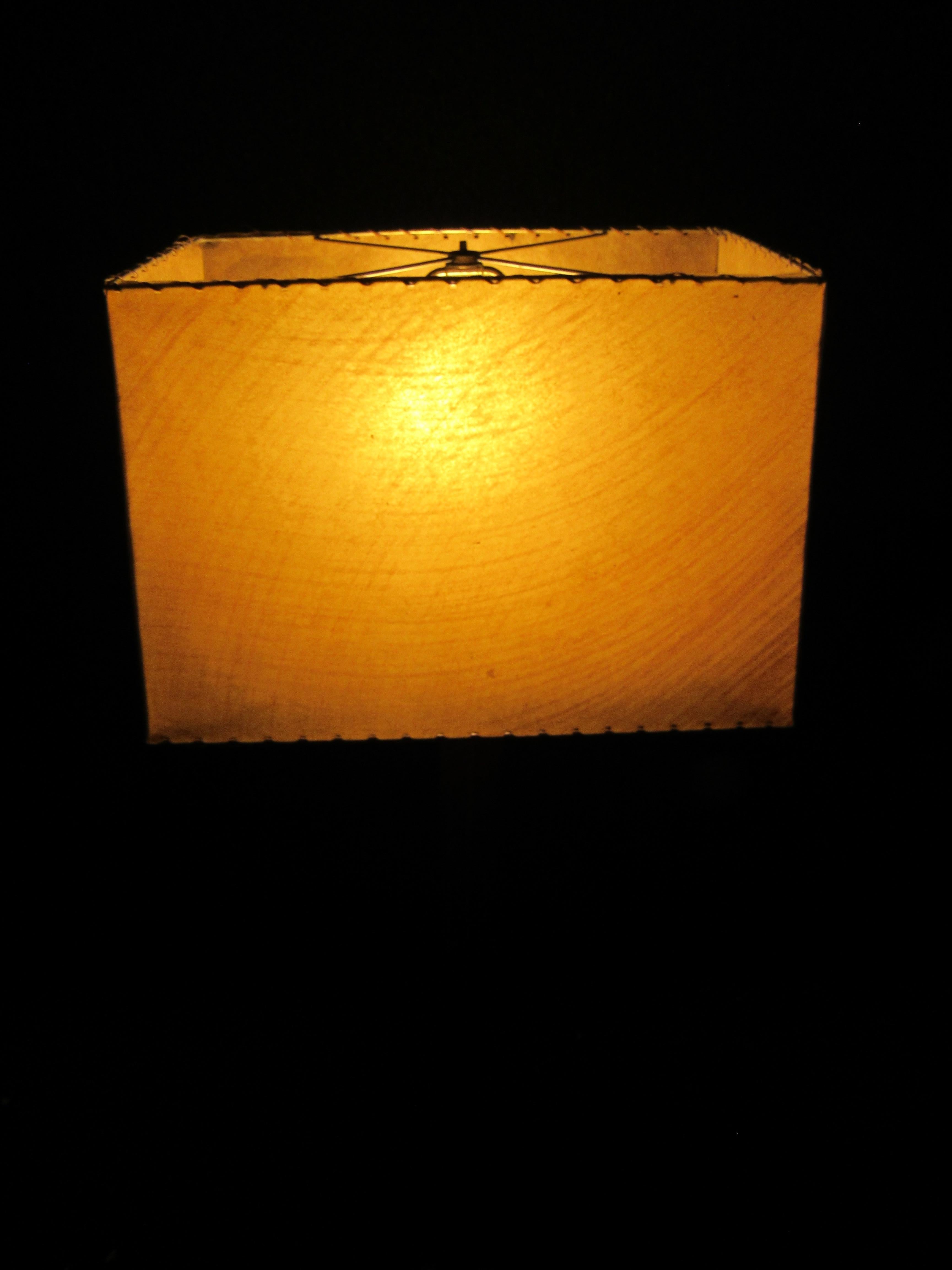 Floor Lamp w/ Hide Shade 6