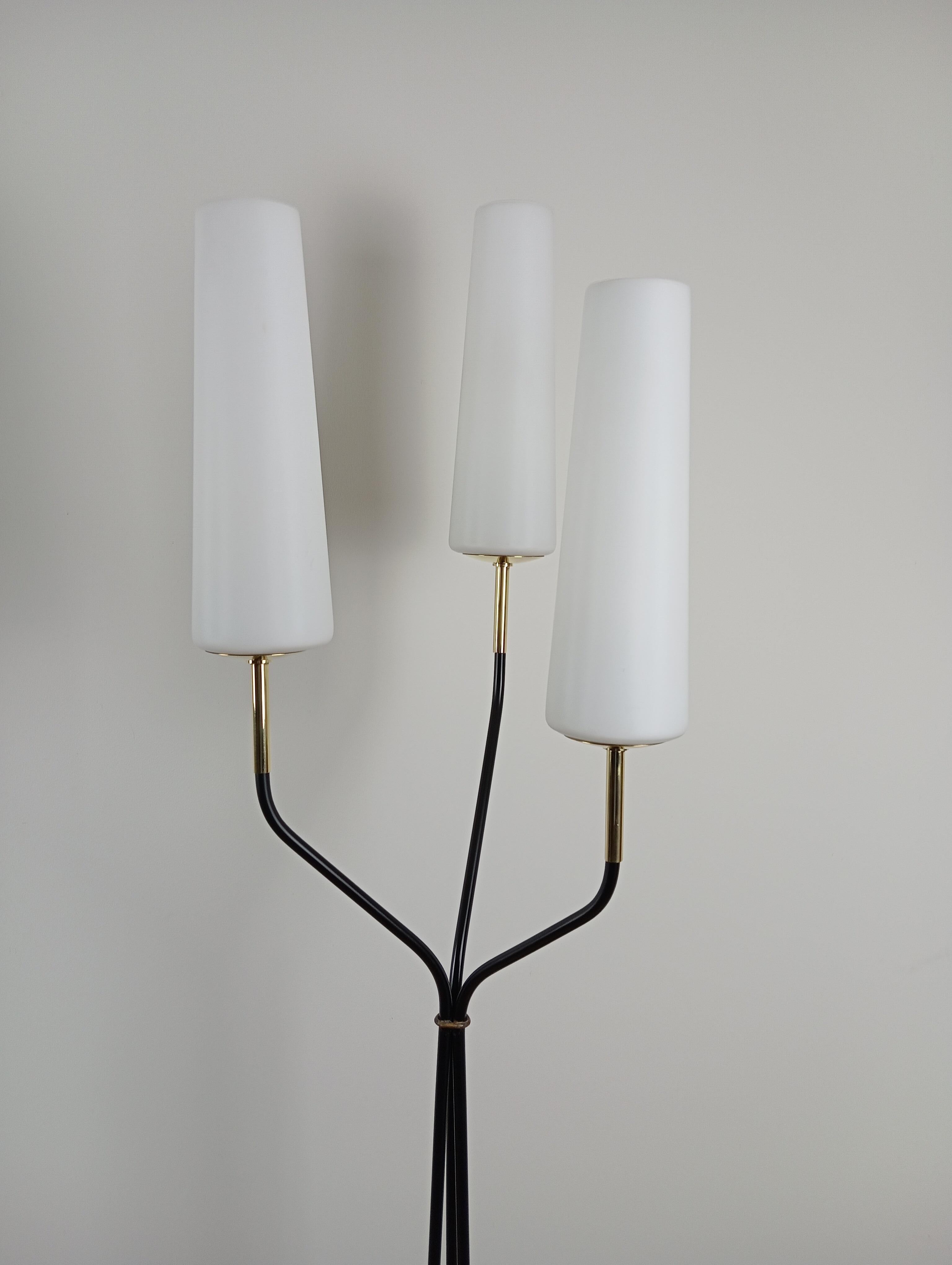 Floor lamp with 3 light arms, Maison Lunel circa 1950 For Sale 7