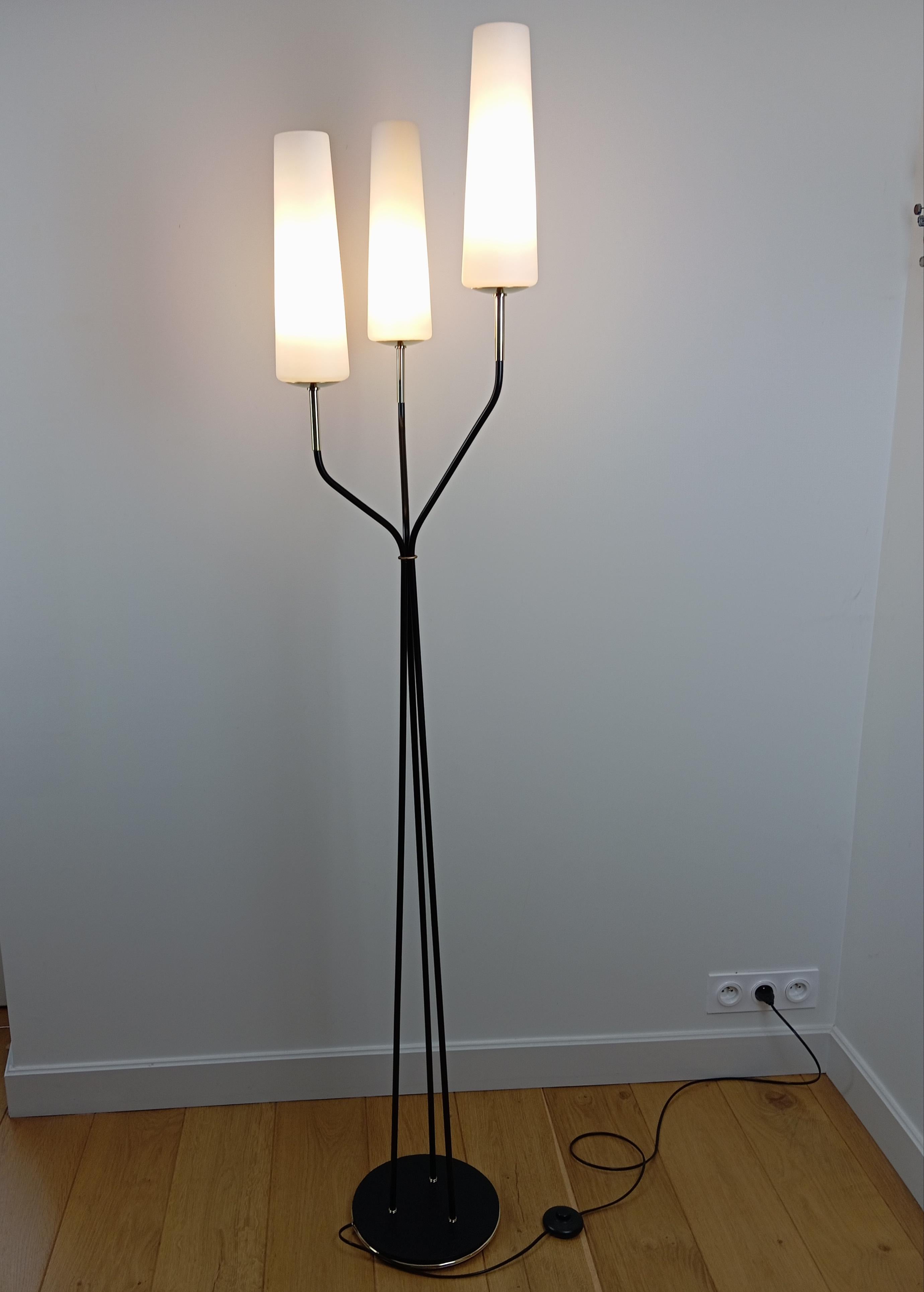 20th Century Floor lamp with 3 light arms, Maison Lunel circa 1950 For Sale