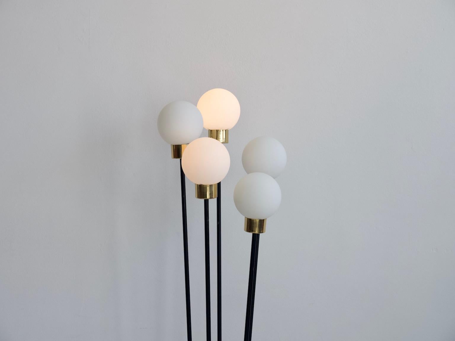 French Floor Lamp with Five Opaline Glass Globes by Arlus For Sale