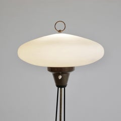 Floor lamp with opaline glass. Italy, Stilnovo, c.1955.