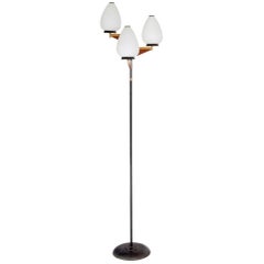 Floor Lamp with opaque glass lamp shades, Attributed to Stilnovo, Italy, 1950s
