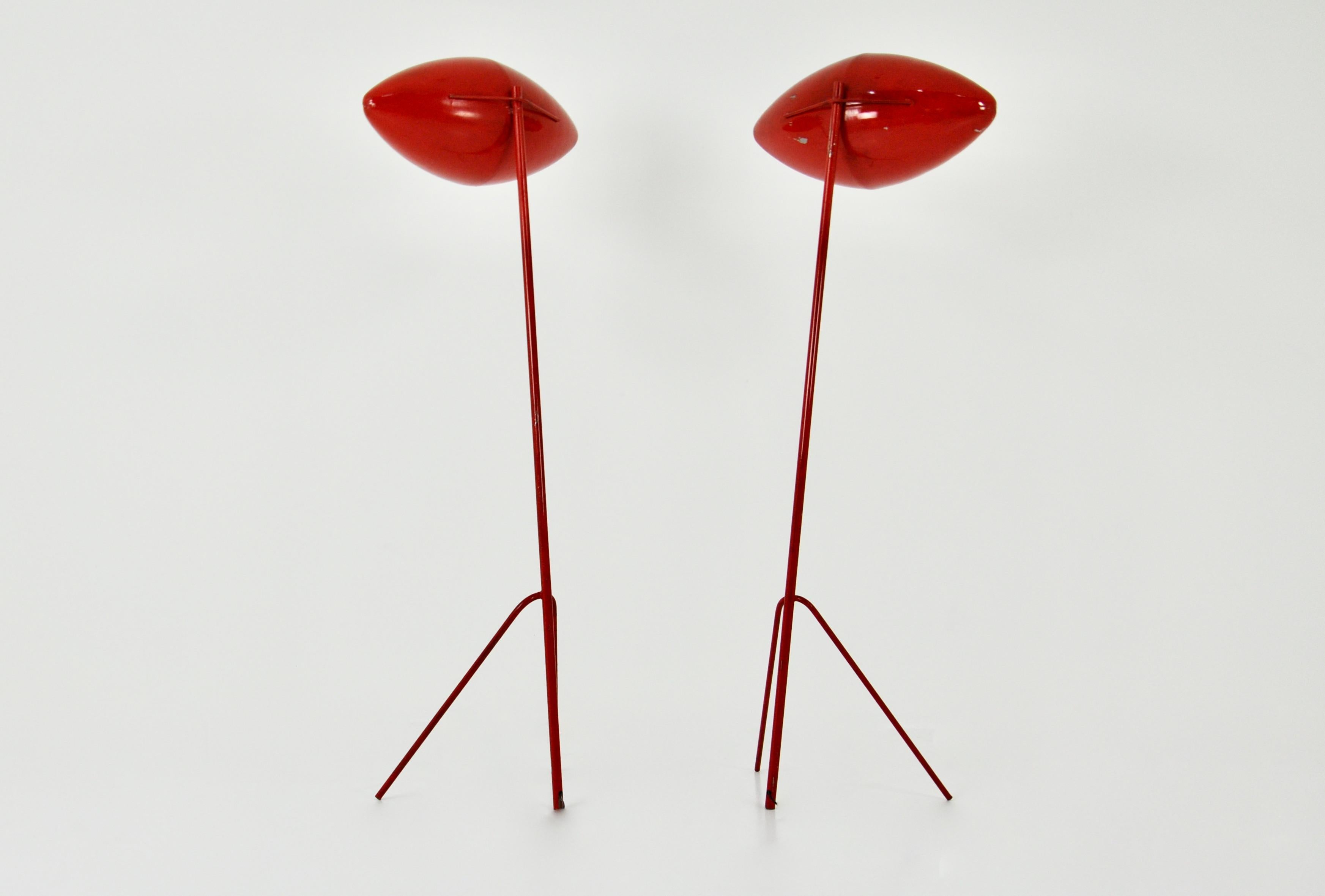 Floor lamps 