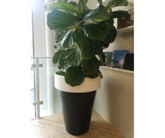 Omega 90 Outdoor Planter by De Castelli