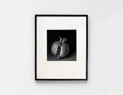 Con Corona, Mexico, 2000 - Flor Garduño (Black and White Photography)