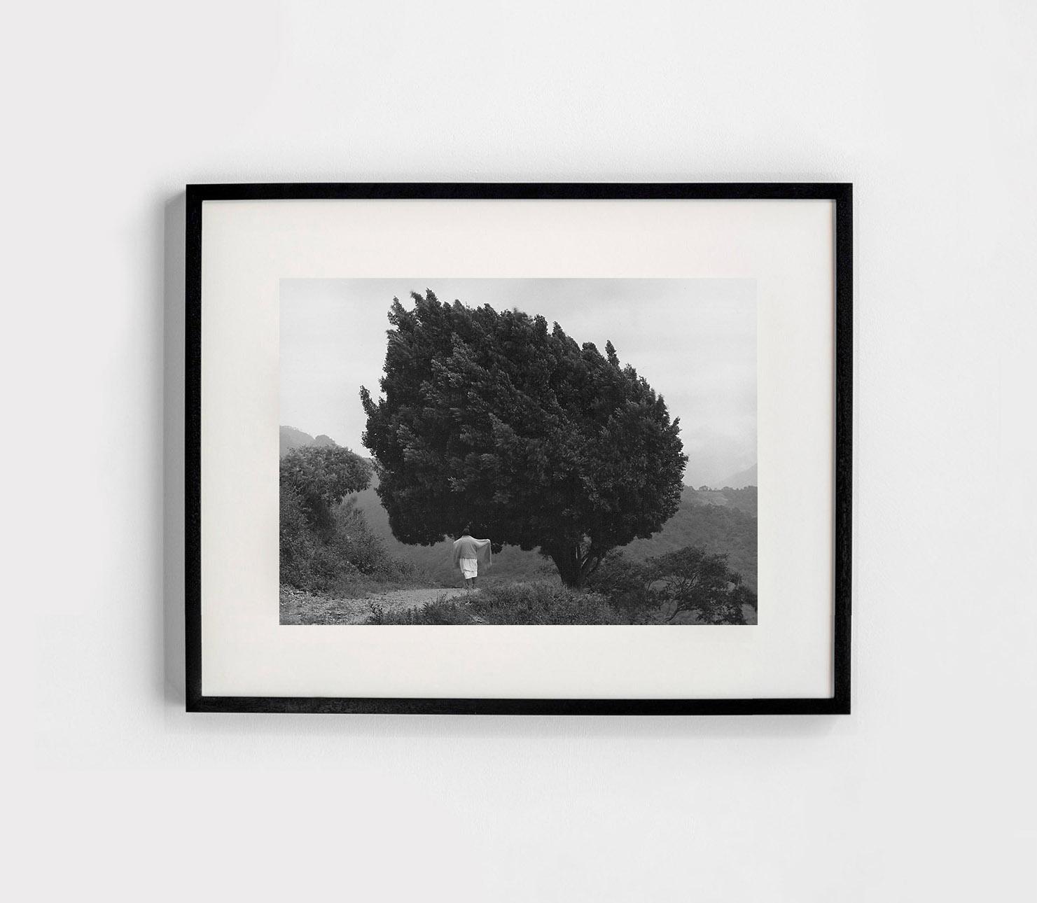 El árbol de Yalalag, México, 1983 - Flor Garduño (Schwarzweißfotografie) im Angebot 1