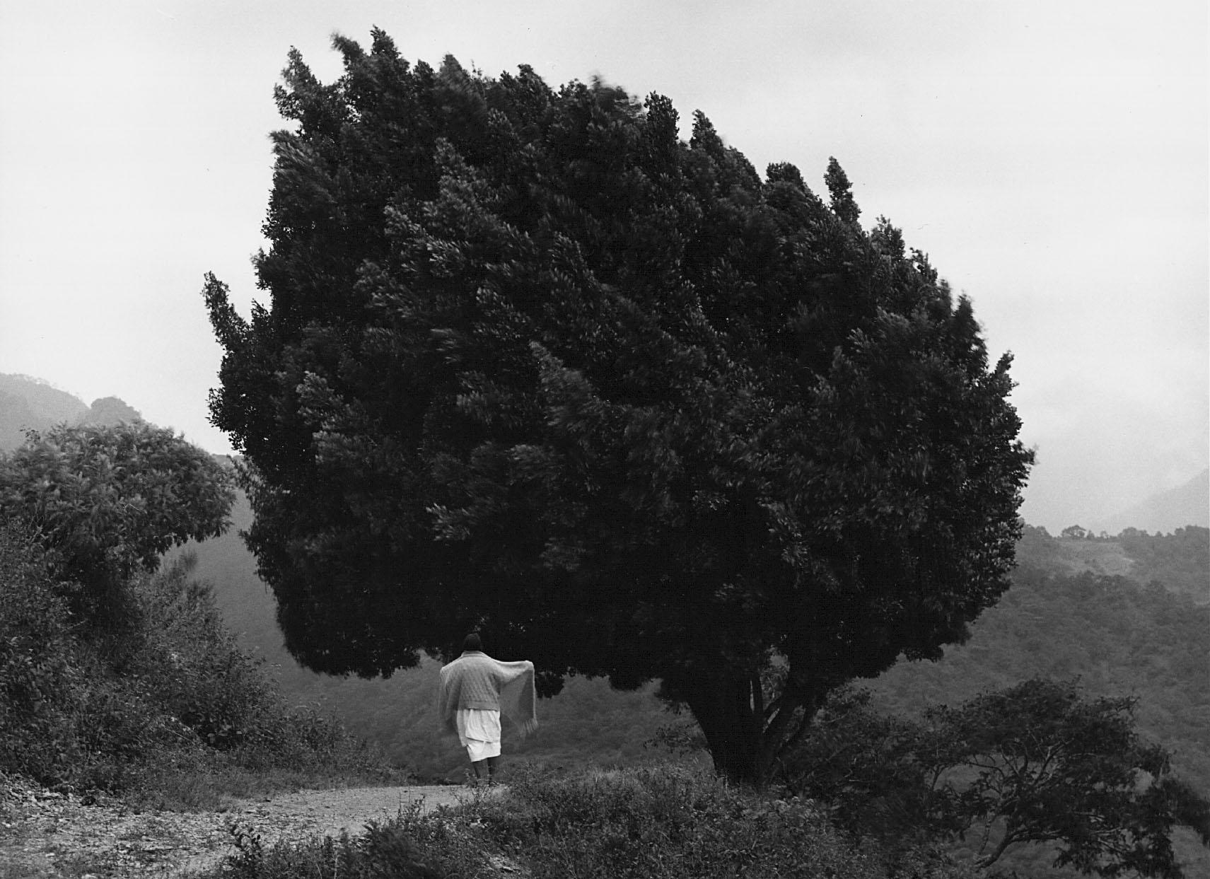 Signed
Silver gelatin print

Available in two sizes:
11 x 14 inches
16 x 20 inches

Also available as an editioned archival pigment print in two larger sizes, please enquire for details.

Flor Garduño (born 1957) is one of Mexico’s leading