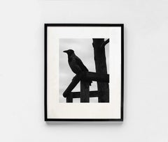 Klein, Turquia, 2018 - Flor Garduño (Black and White Photography)