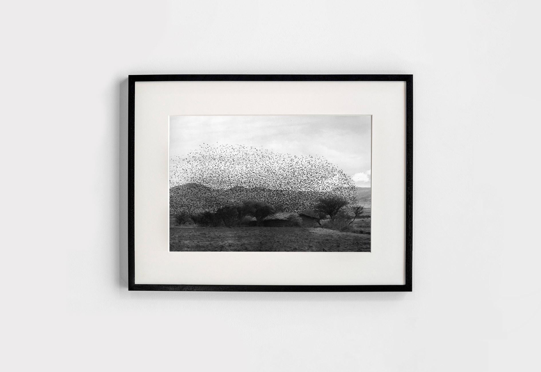 Nube, Jocotitlán, México, 1982 - Flor Garduño (Black and White Photography) For Sale 1